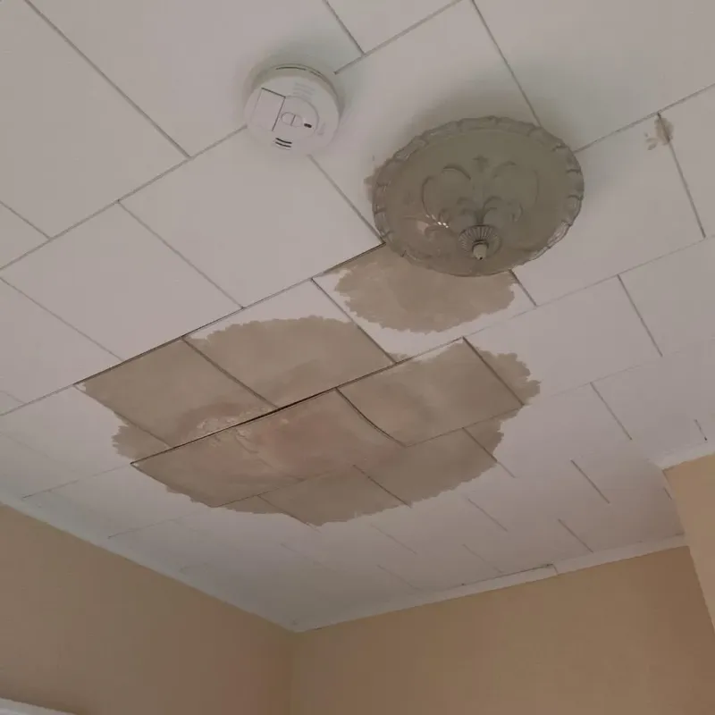 Ceiling Water Damage Repair in Sarasota Springs, FL