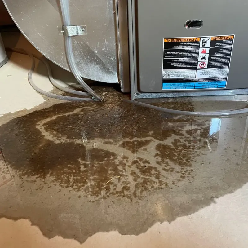 Pipe Burst and Leak Restoration in Sarasota Springs, FL